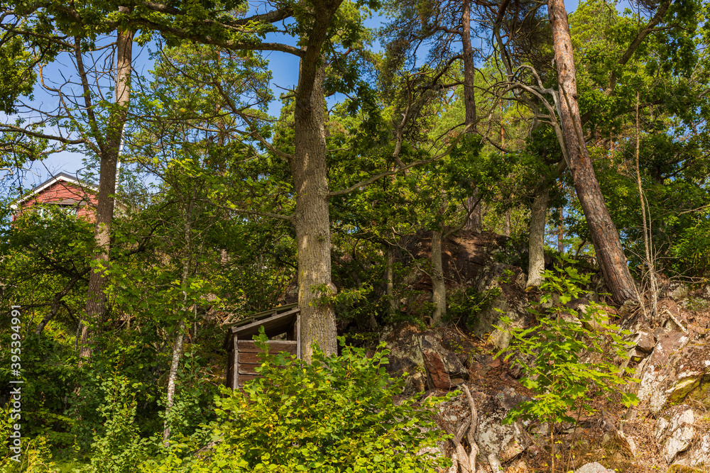 Beautiful natural forest landscape view and red house on background Beautiful natural forest landscape view and red house on background