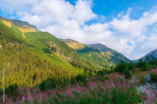 Green mountain covered with forest on the blue sky background. Tatras mountain in slovakia