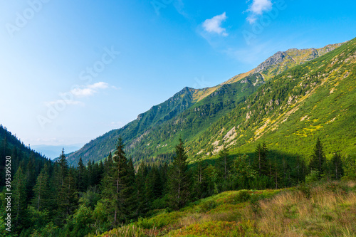 Green mountain covered with forest on the blue sky background. Tatras mountain in slovakia