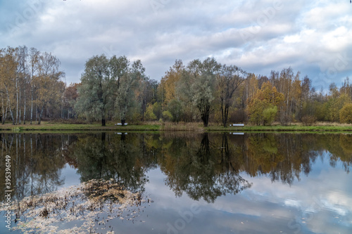 Mirror image of the landscape in the pond of the English Park Petrodvorets.