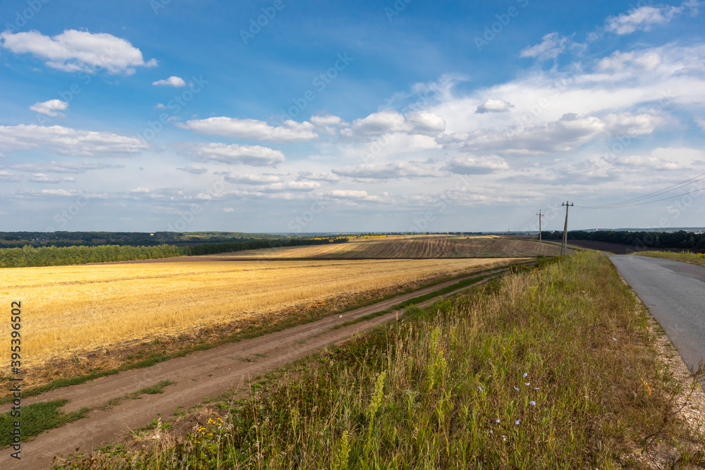 Rural landscape. Harvested wheat field under a blue sky. 