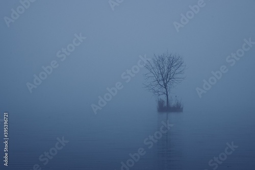 Moody autumn fog by the lake