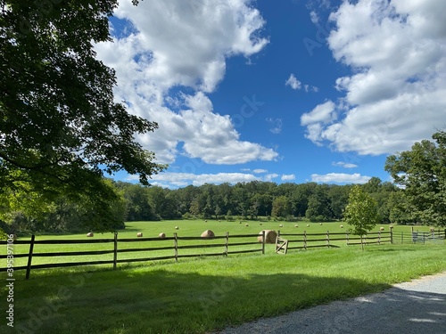 Virginia countryside