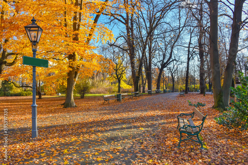 Colorful and vivid autumn colors and bright blue sky in the park, in Graz, Styria region, Austria.