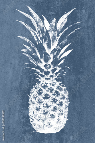 Composite multi layered image of pineapple fruit on grunge vintage background. Ideal for print canvas home decoration.