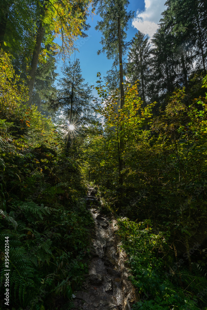 Fototapeta premium Herbstliche Landschaft im Schwarzwald
