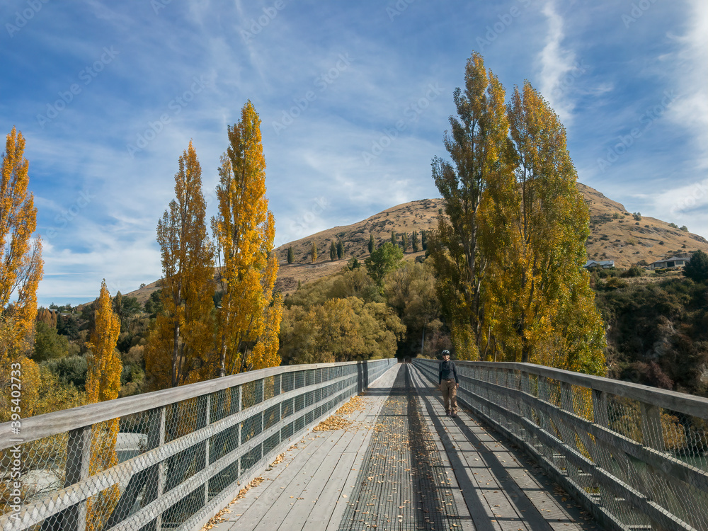 Biker walking on The Lower Shotover Bridge, Queenstown Area, South Island, New Zealand
Biker walking on The Lower Shotover Bridge, Queenstown Area, South Island, New Zealand