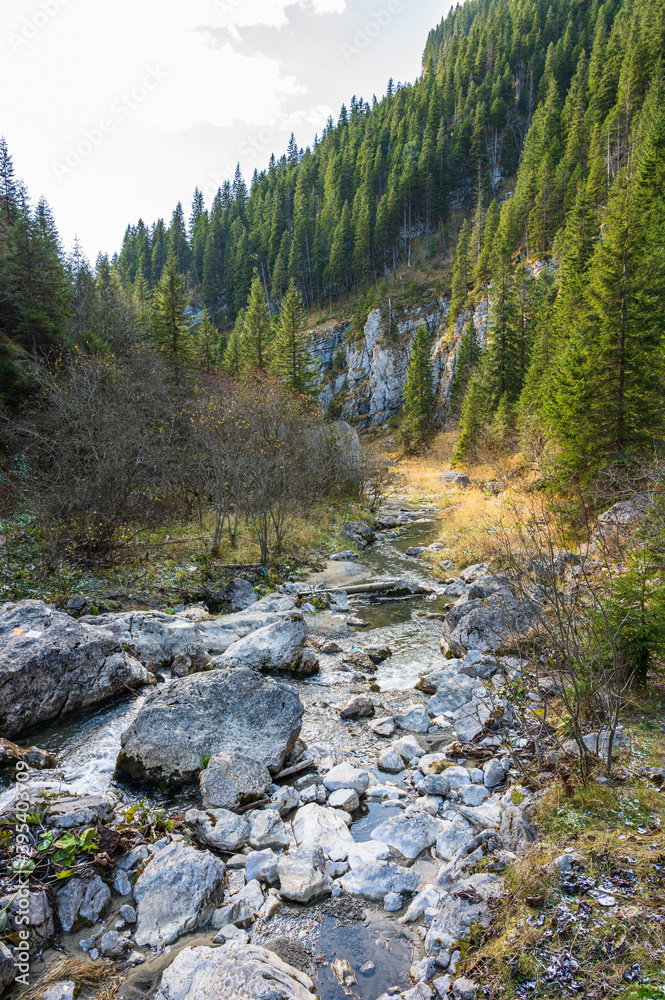 river in the mountains