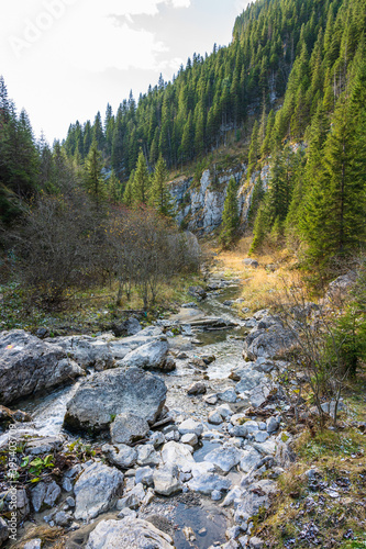 Obraz na płótnie river in the mountains w salonie