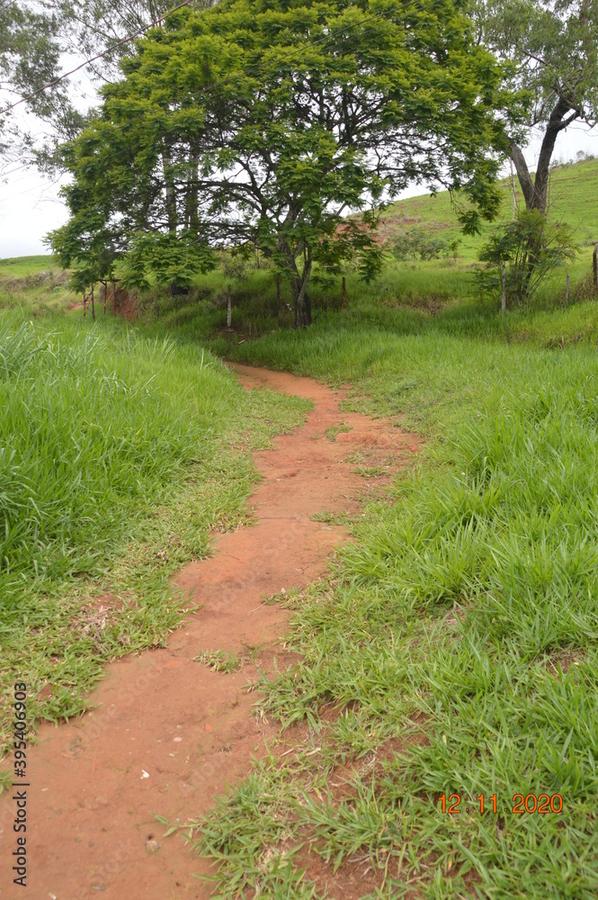 path in the park