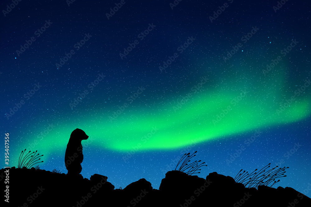 Little bear at starry night. Baby animal silhouette. Northern lights