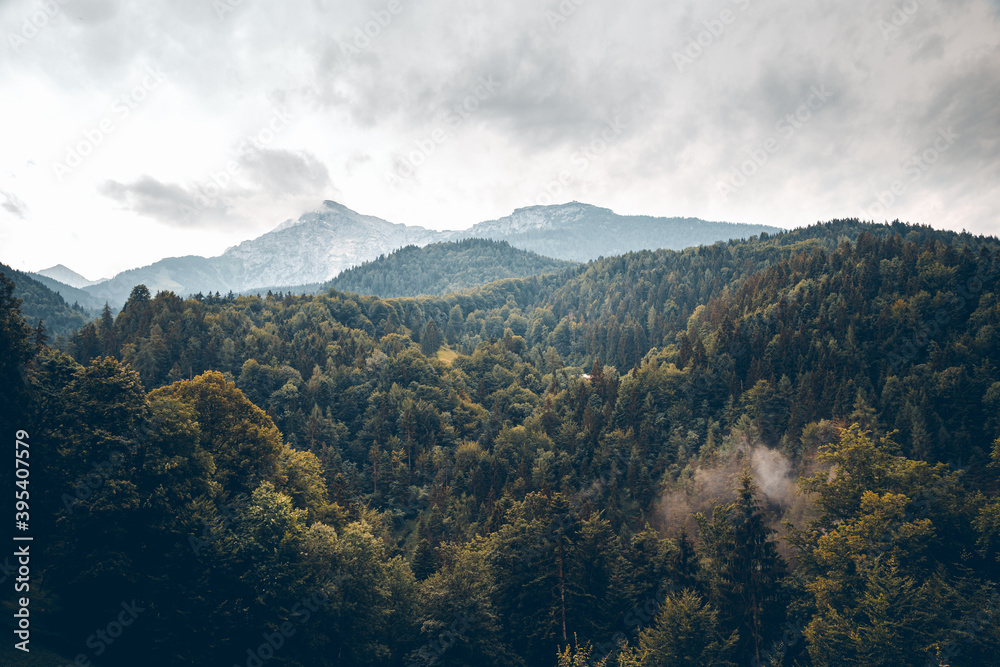 Berglandschaft mit Wald. Hintergrund Watzmann und Alpen