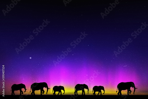 Elephant family at starry night. Animal silhouettes. Aurora borealis