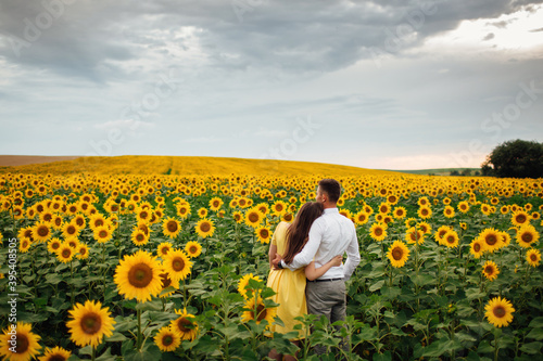 Beautiful couple having fun in sunflowers field. A man and a woman in love walk in a field with sunflowers  a man hugs a woman. selective focus