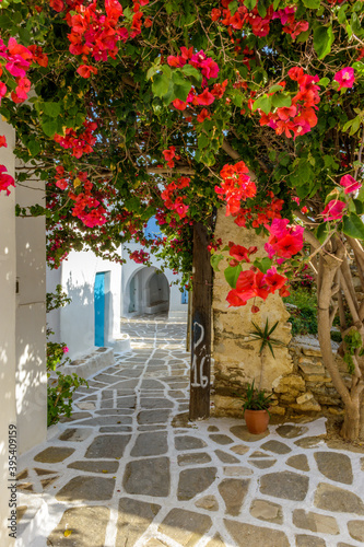 Fototapeta Naklejka Na Ścianę i Meble -  Traditional alley with whitewashed houses and a full blooming bougainvillea in Prodromos Paros island
