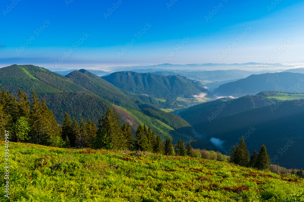 Green mountain covered with forest on the blue sky background. Mala Fatra slovakia