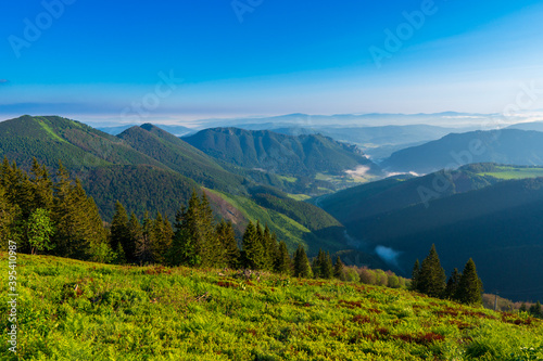 Green mountain covered with forest on the blue sky background. Mala Fatra slovakia