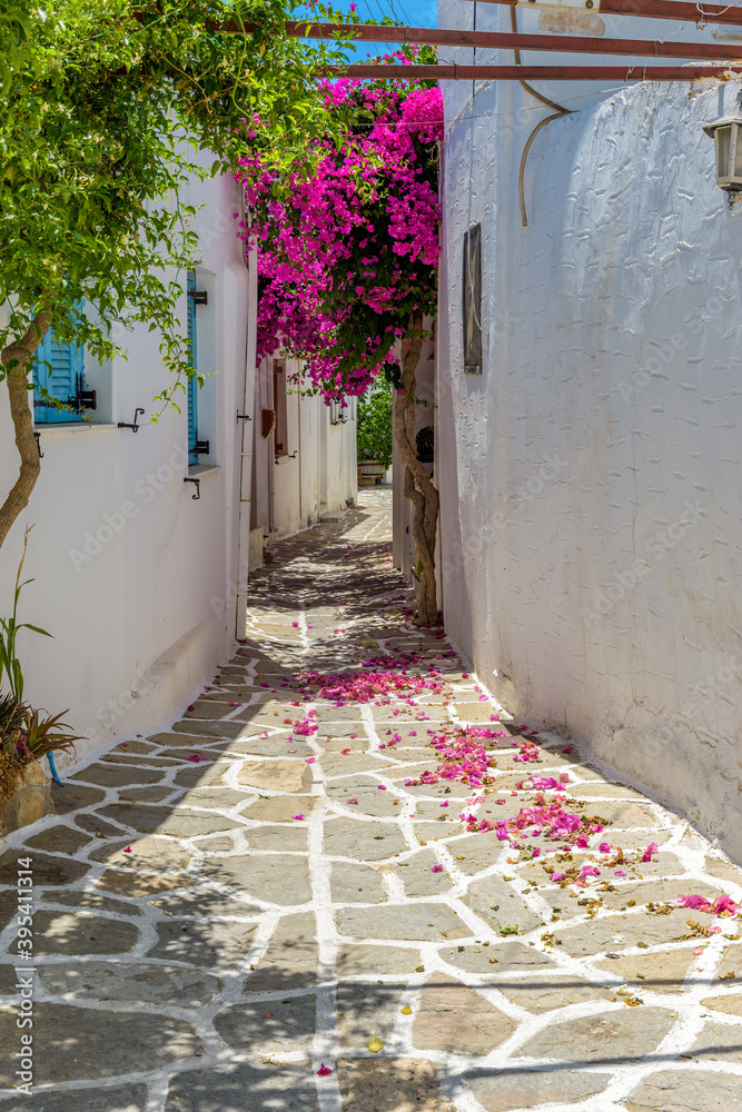 Traditional alley with whitewashed houses and a full blooming ...