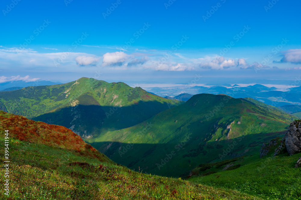 Fototapeta premium Green mountain covered with forest on the blue sky background. Mala Fatra slovakia