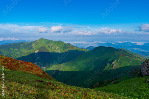 Green mountain covered with forest on the blue sky background. Mala Fatra slovakia © Martin