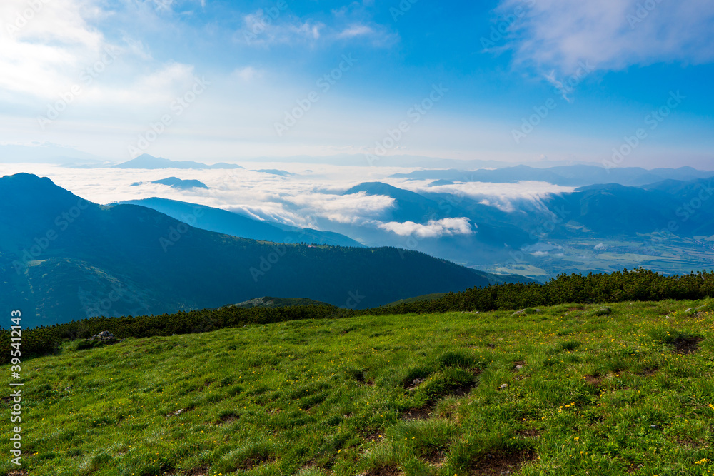 Fototapeta premium Green mountain covered with forest on the blue sky background. Mala Fatra slovakia