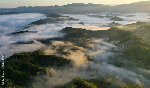 Tropical rainforest in the morning sunrise, Stunning view of Borneo Tropical Rainforest with mist. © Mohd Khairil
