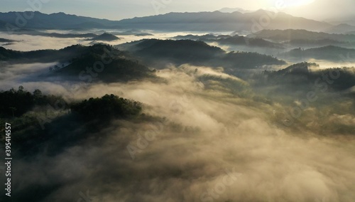 Tropical rainforest in the morning sunrise, Stunning view of Borneo Tropical Rainforest with mist.
