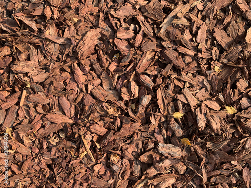 crushed tree bark with fallen small leaves on the ground