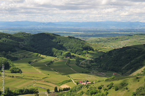 Landscape Kaiserstuhl Badberg bei Altvogtsburg mit Kirche St. Romanus und Blick zu den Vogesen photo