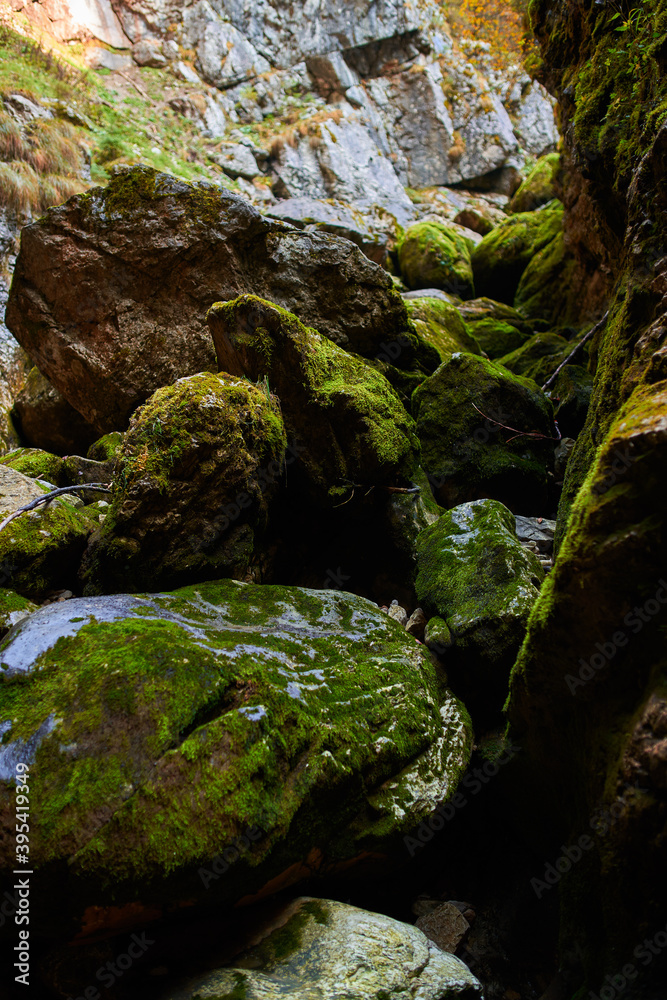 Huge mossy boulders on mountain