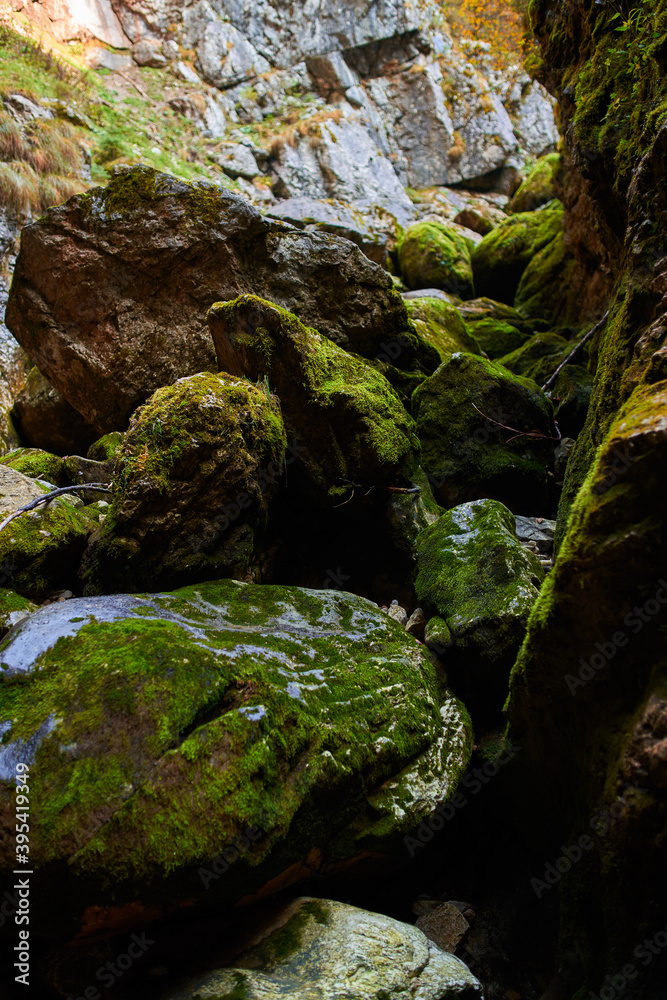Huge mossy boulders on mountain Huge mossy boulders on mountain