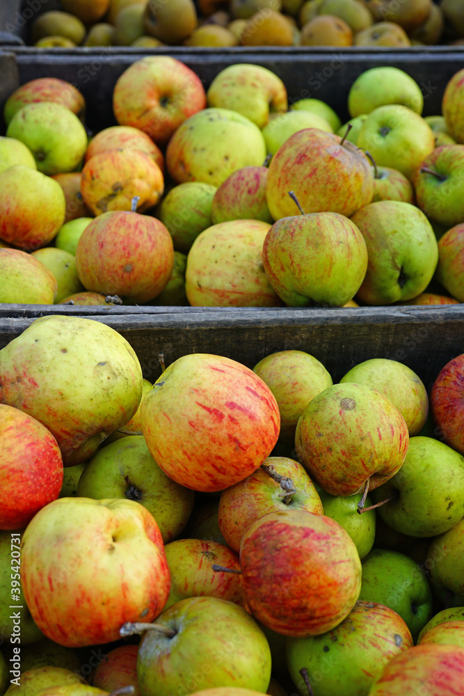 Fresh red and yellow apples at a farmers market Fresh red and yellow apples at a farmers market