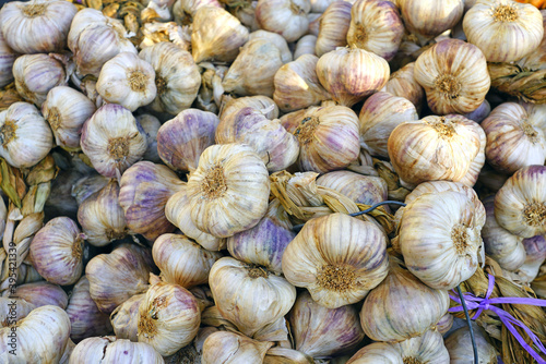 Dried purple garlic at a farmers market