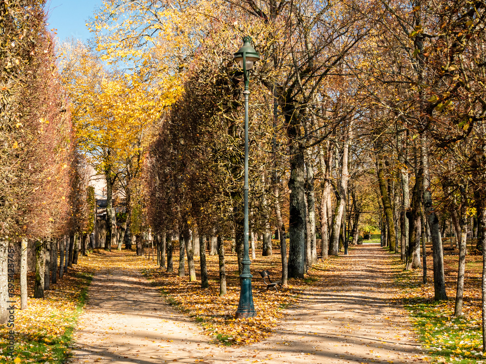 Two alleys in the park of Blossac in Poitiers in the Poitou region of France. In the middle is a lamp post. Photographed during autumn, there are orange and yellow leaves.