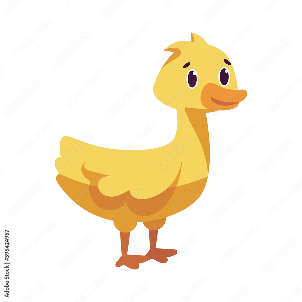 Isolated cartoon of a duck - Vector illustration Isolated cartoon of a duck - Vector illustration