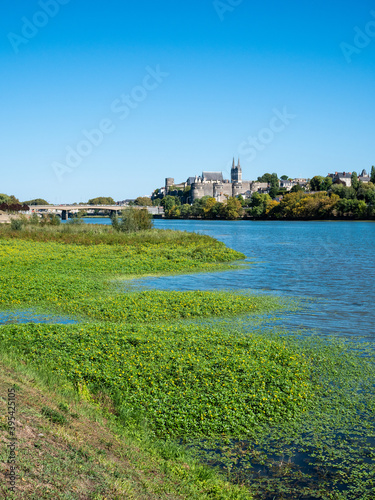 View on the Maine river in Angers, a city in western France, in the maine-et-loire department. Sunny day, blue sky. Vegetation in the foreground.