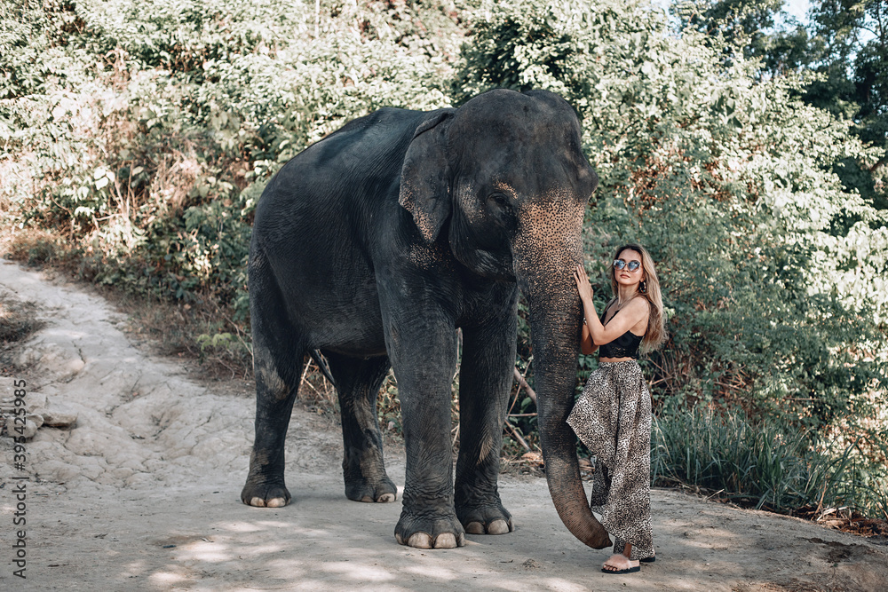 Wonderful caucasian model in a leopard skirt  posing in the forest with black elephant. Phuket. Thailand