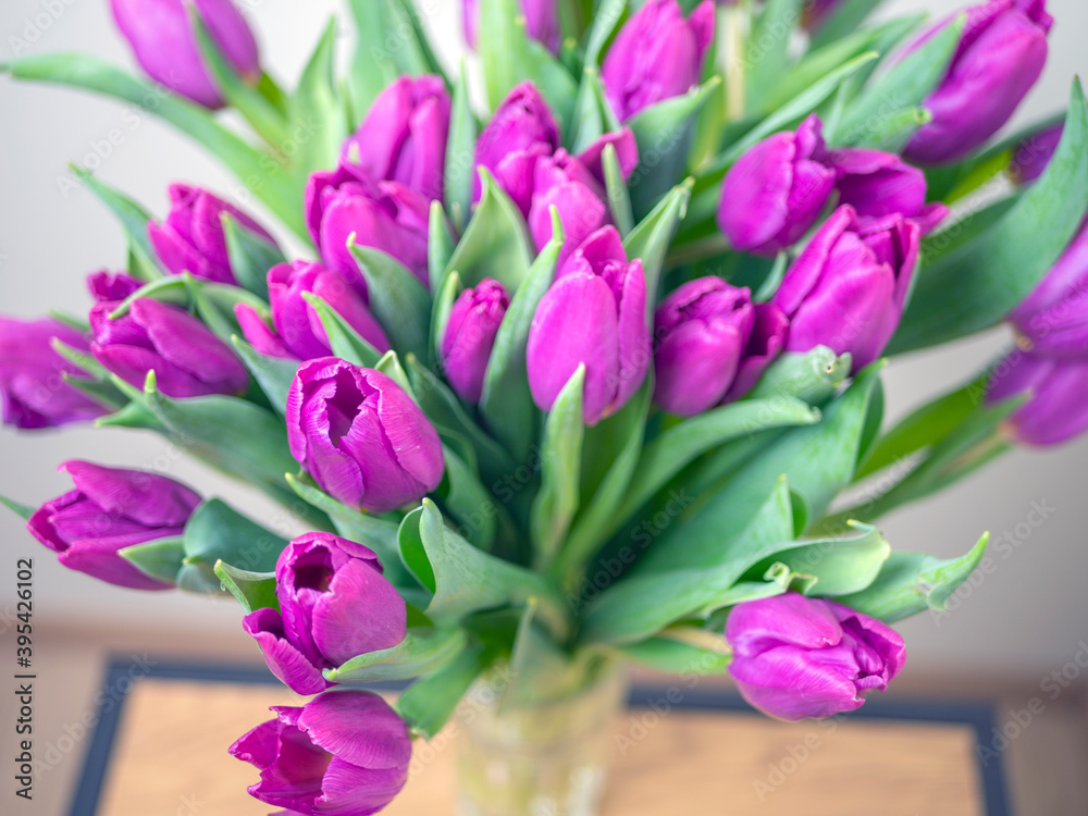 Obraz premium many yellow tulips