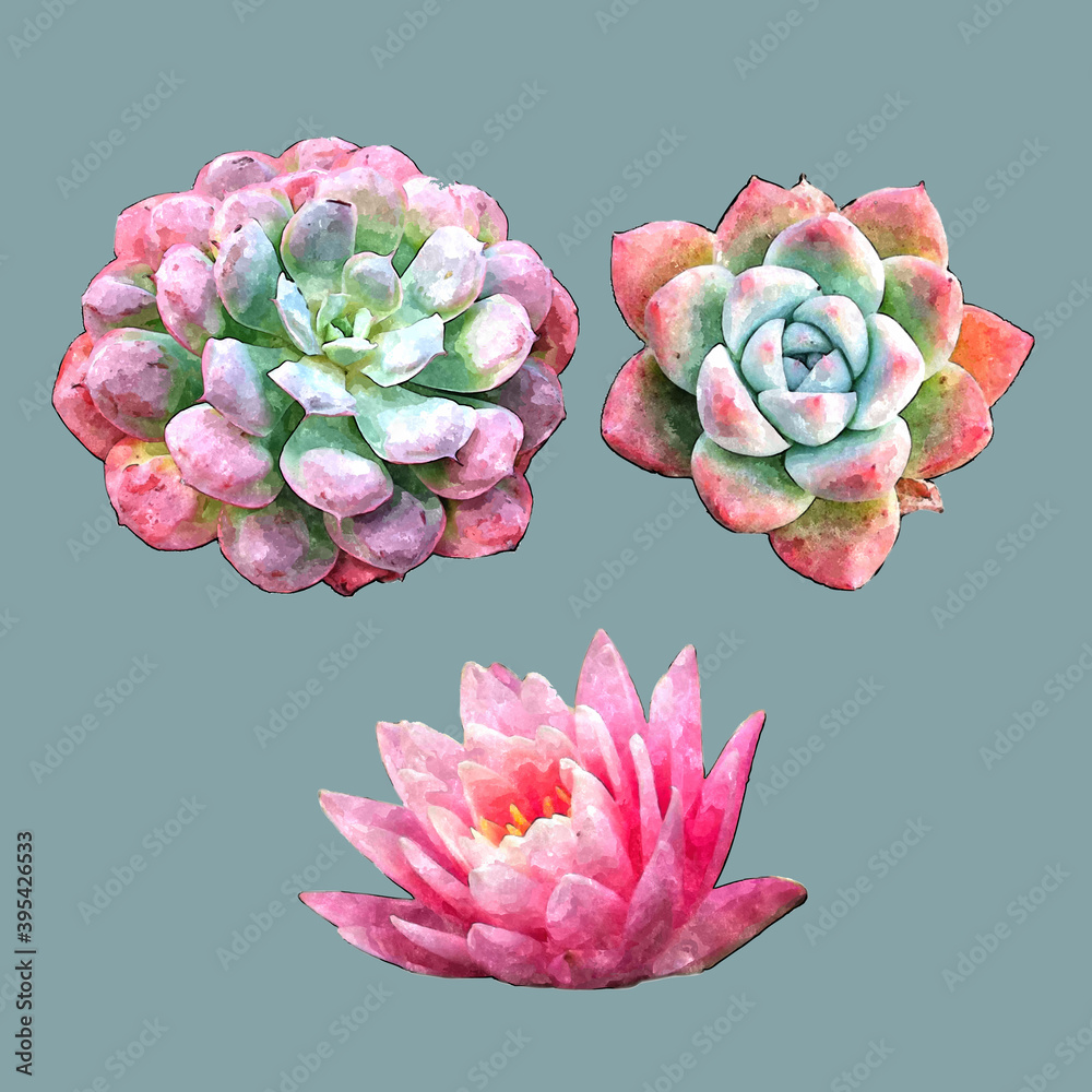 Set of three juicy flowers in watercolor style.