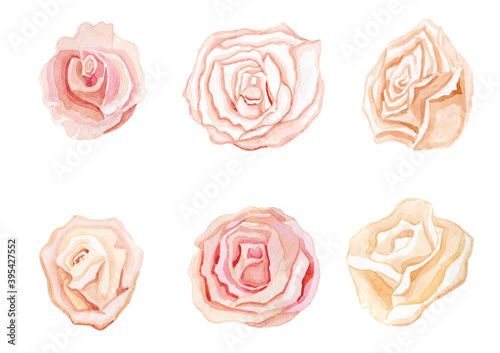 Set of watercolor clipart tender romantic flowers roses
