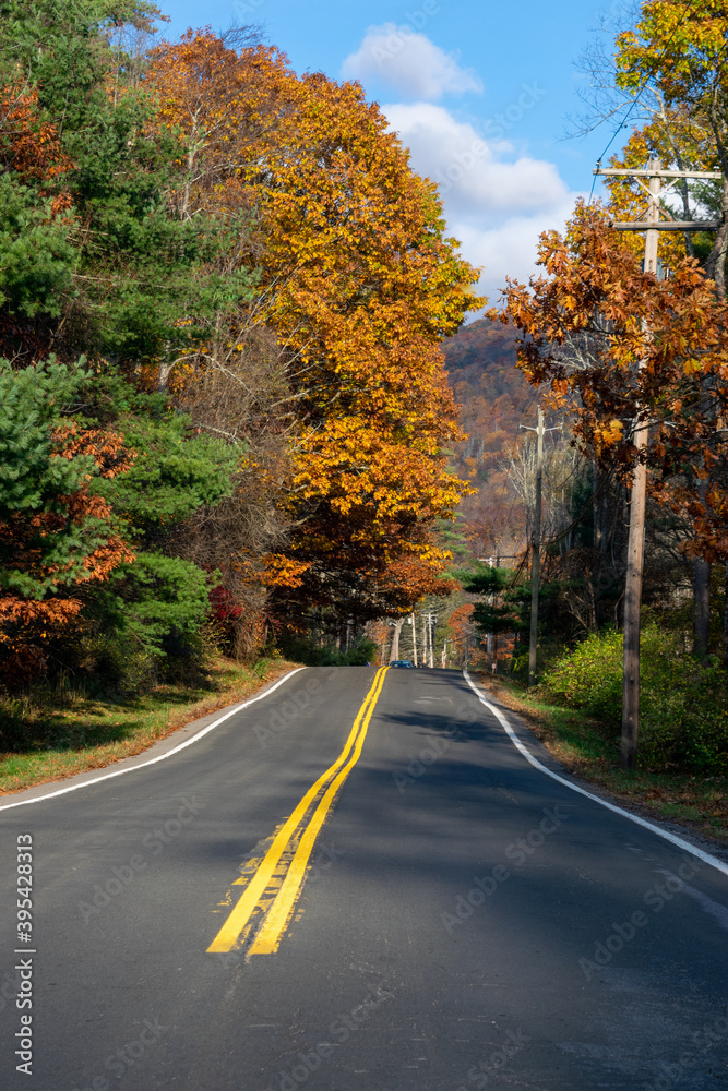 Fall foliage along a country road