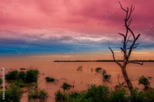 The abstract blurry background of the twilight light of the mangrove forest, with trees and cool natural breezes flowing.