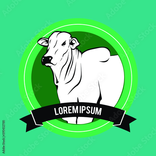Nelore cattle illustration. Badge, label, cow