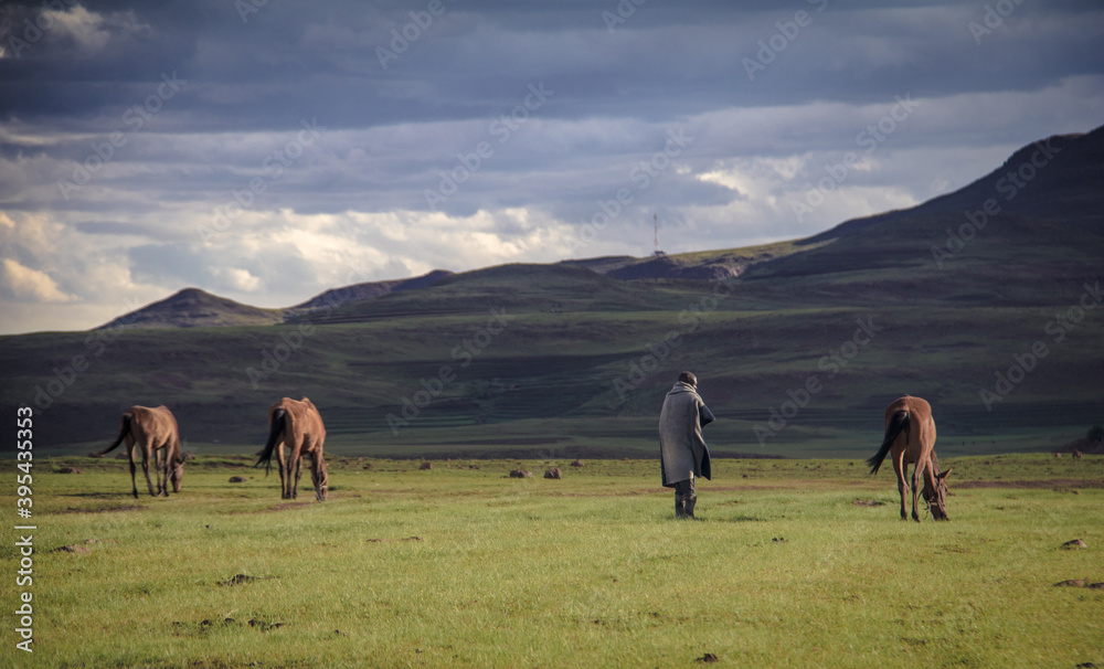 A herdsman wearing a Basotho blanket watches his horses high in the mountains of Lesotho