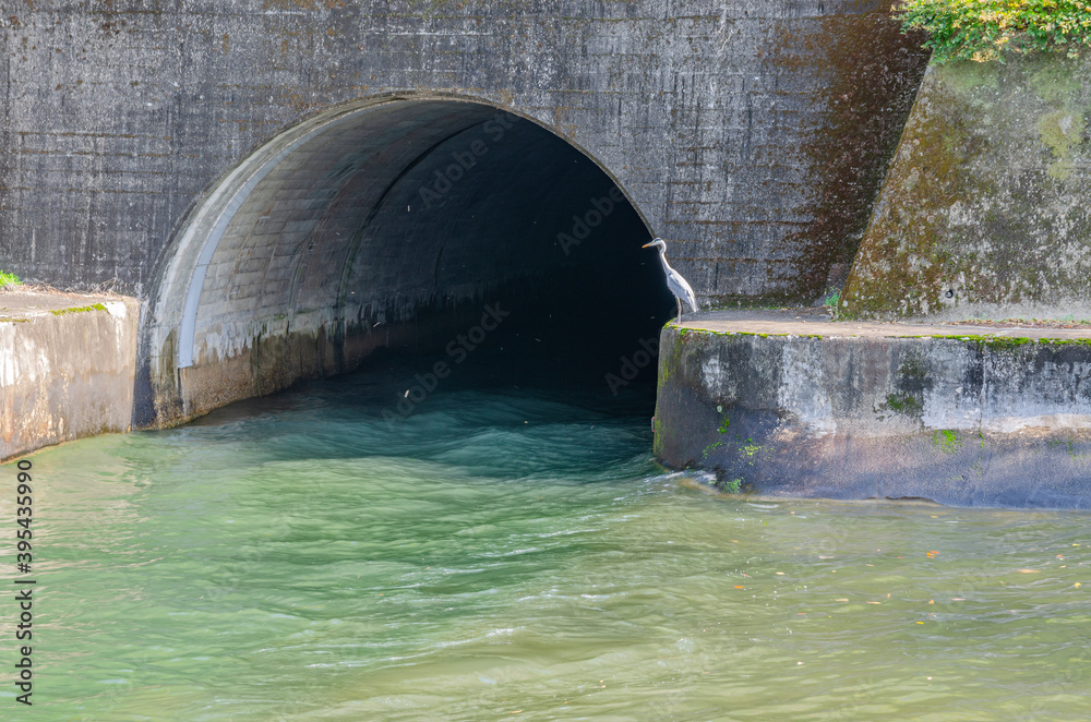 琵琶湖疏水　諸羽トンネル