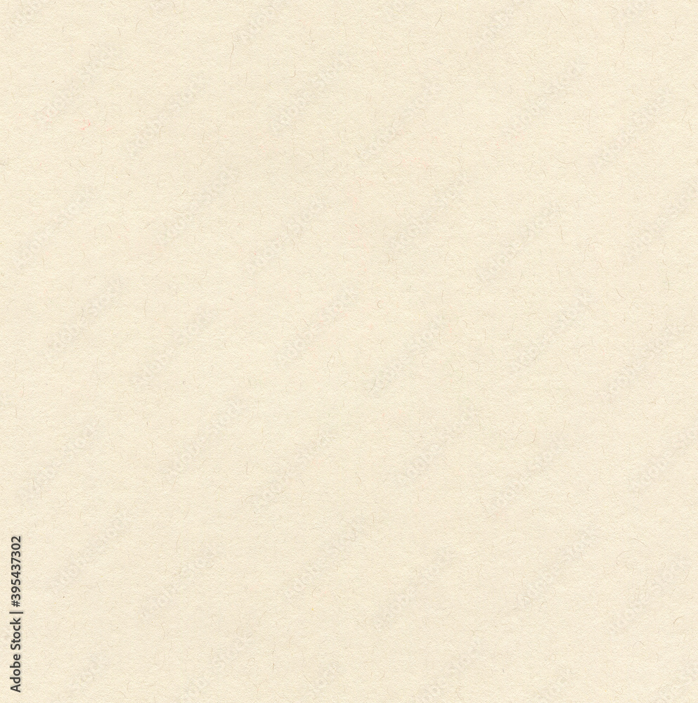 White paper texture. White color texture pattern abstract background for your design and text. White paper texture. White color texture pattern abstract background for your design and text.