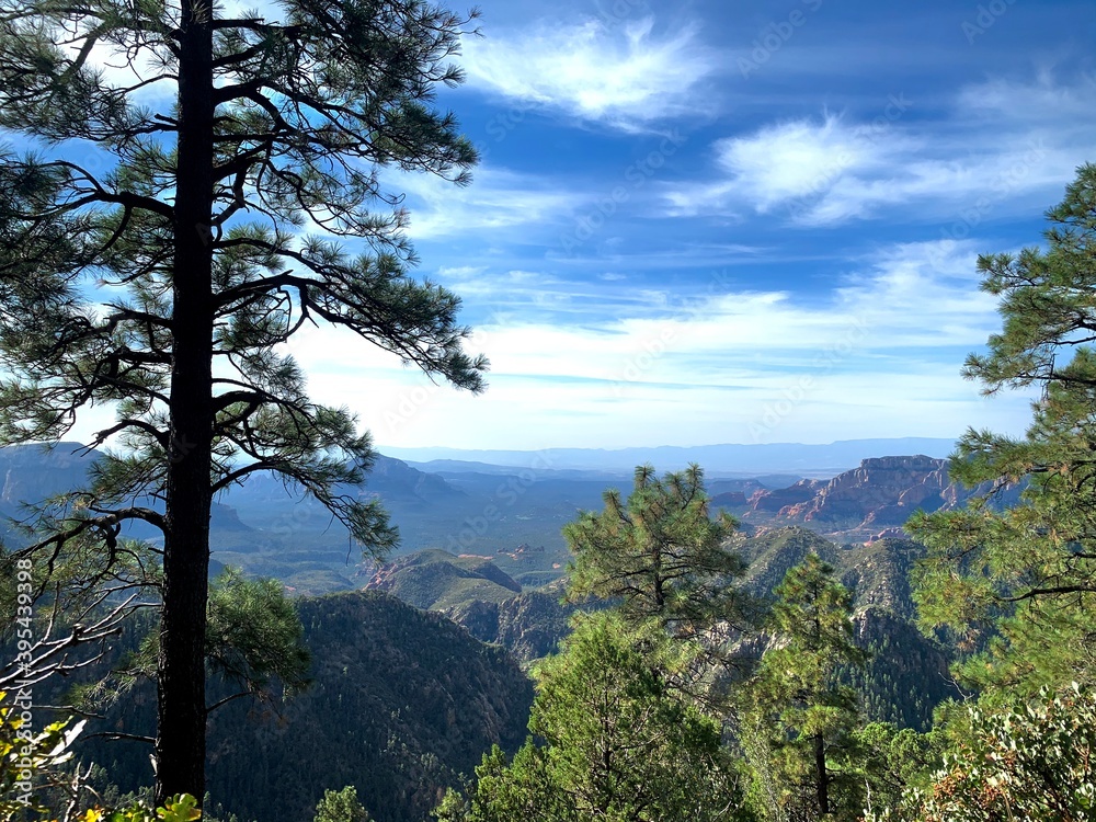 Fototapeta premium landscape with sky