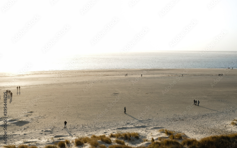 Beach bathed in Sunlight Beach bathed in Sunlight