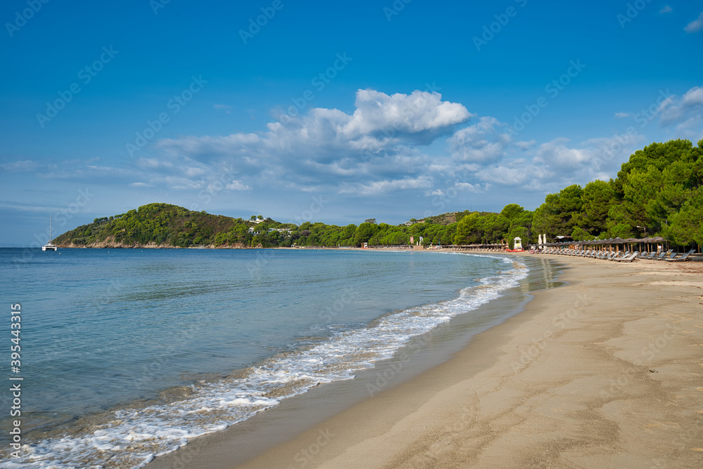 Obraz premium Koukounaries beach, Skiathos island, Greece .famous exotic beach all over the world