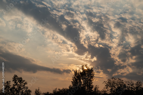 Sunset sky and clouds against silhouette of trees. Evening sky with sunlight shining through the trees.